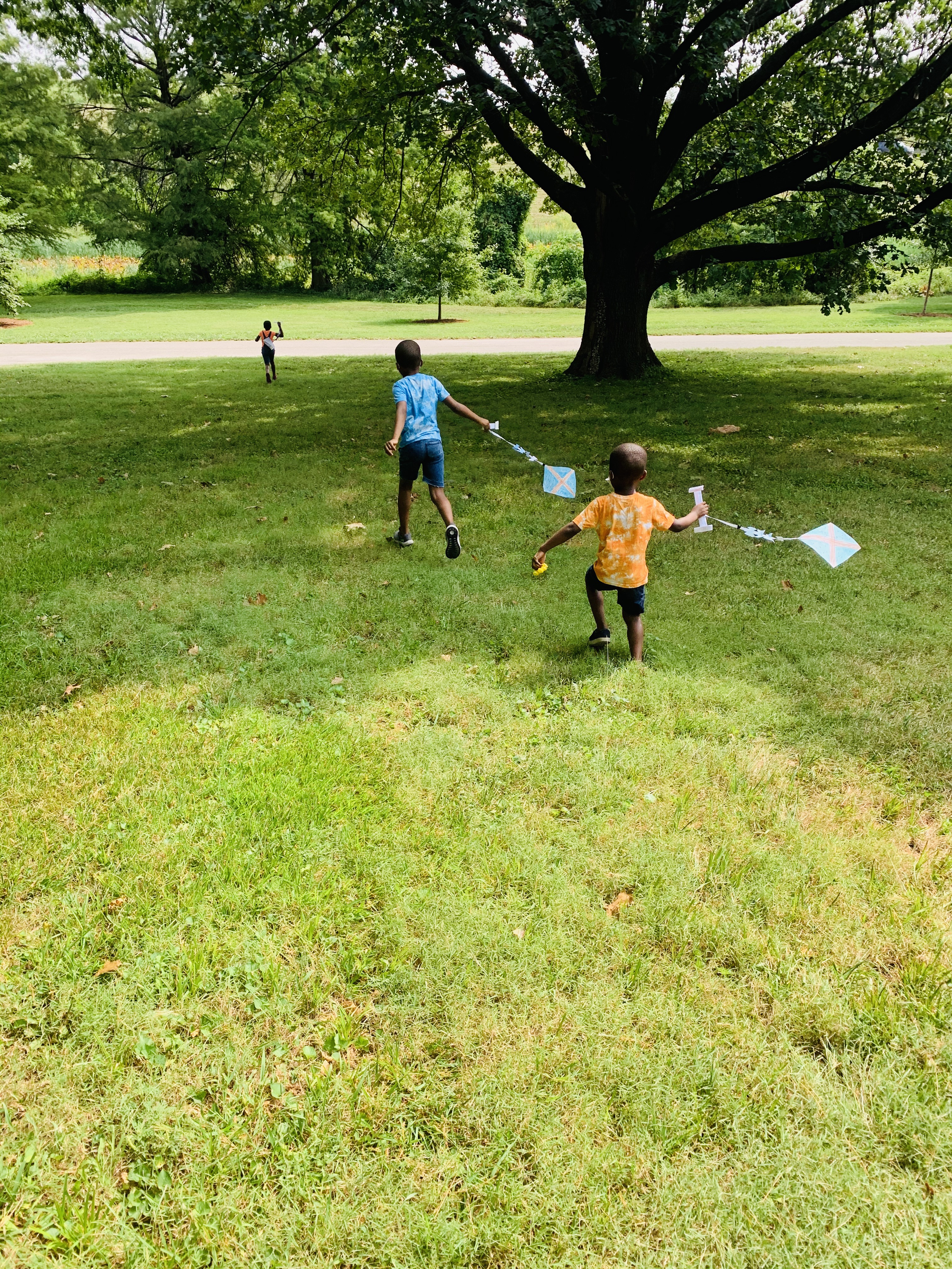 Keep flying kites