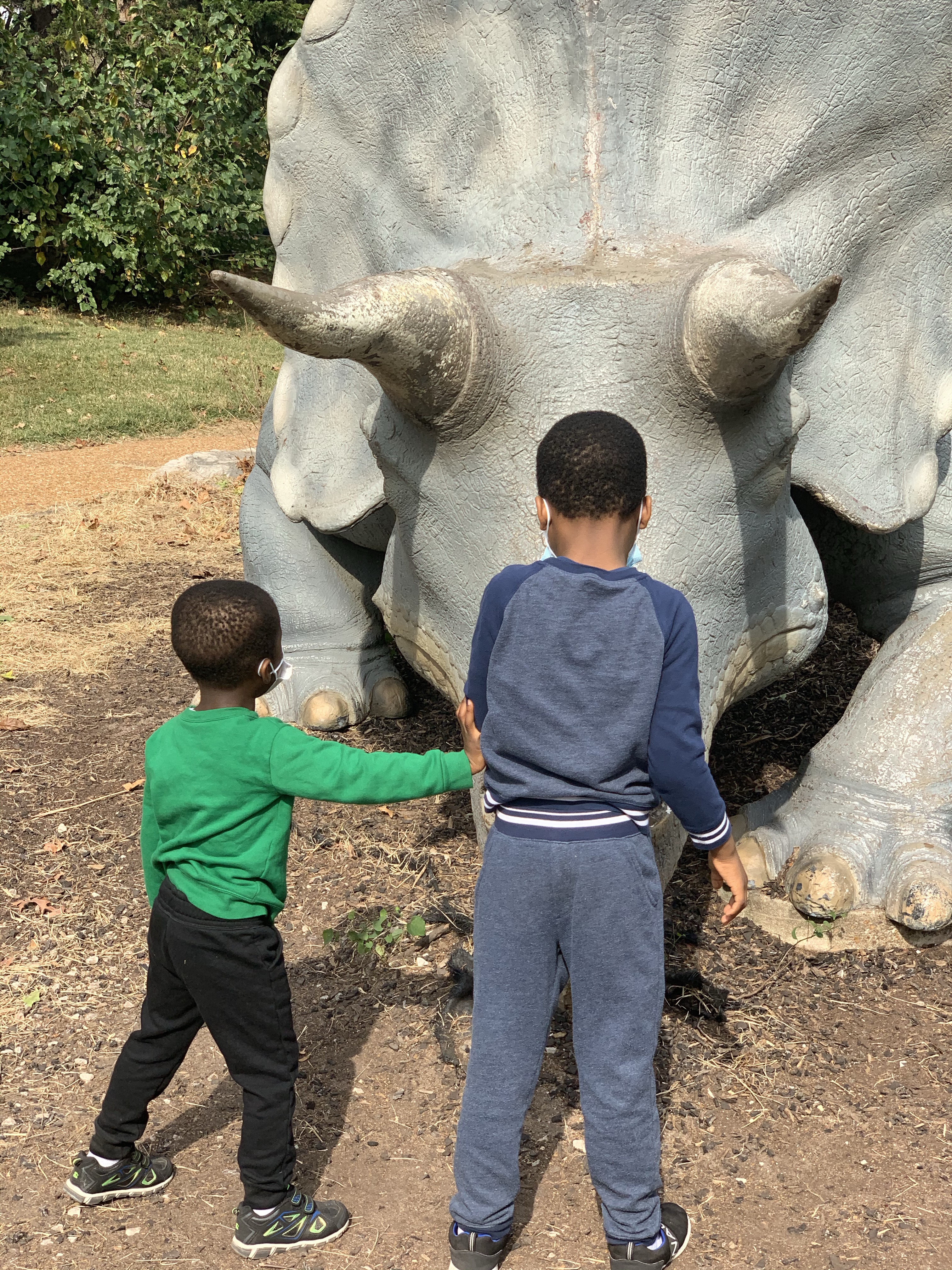 Keep co-learning about dinosaurs!