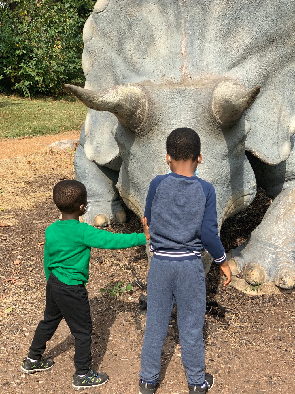 Keep co-learning about dinosaurs!