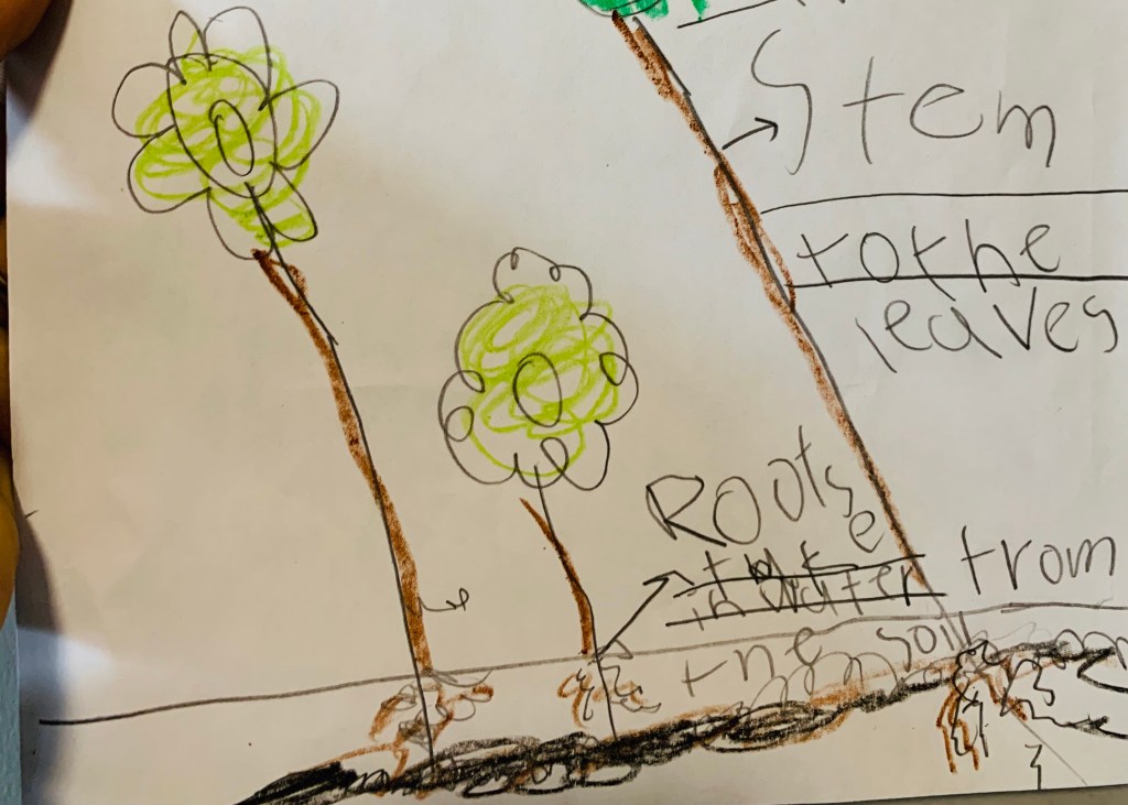 Keep building confident learners in 1st grade!