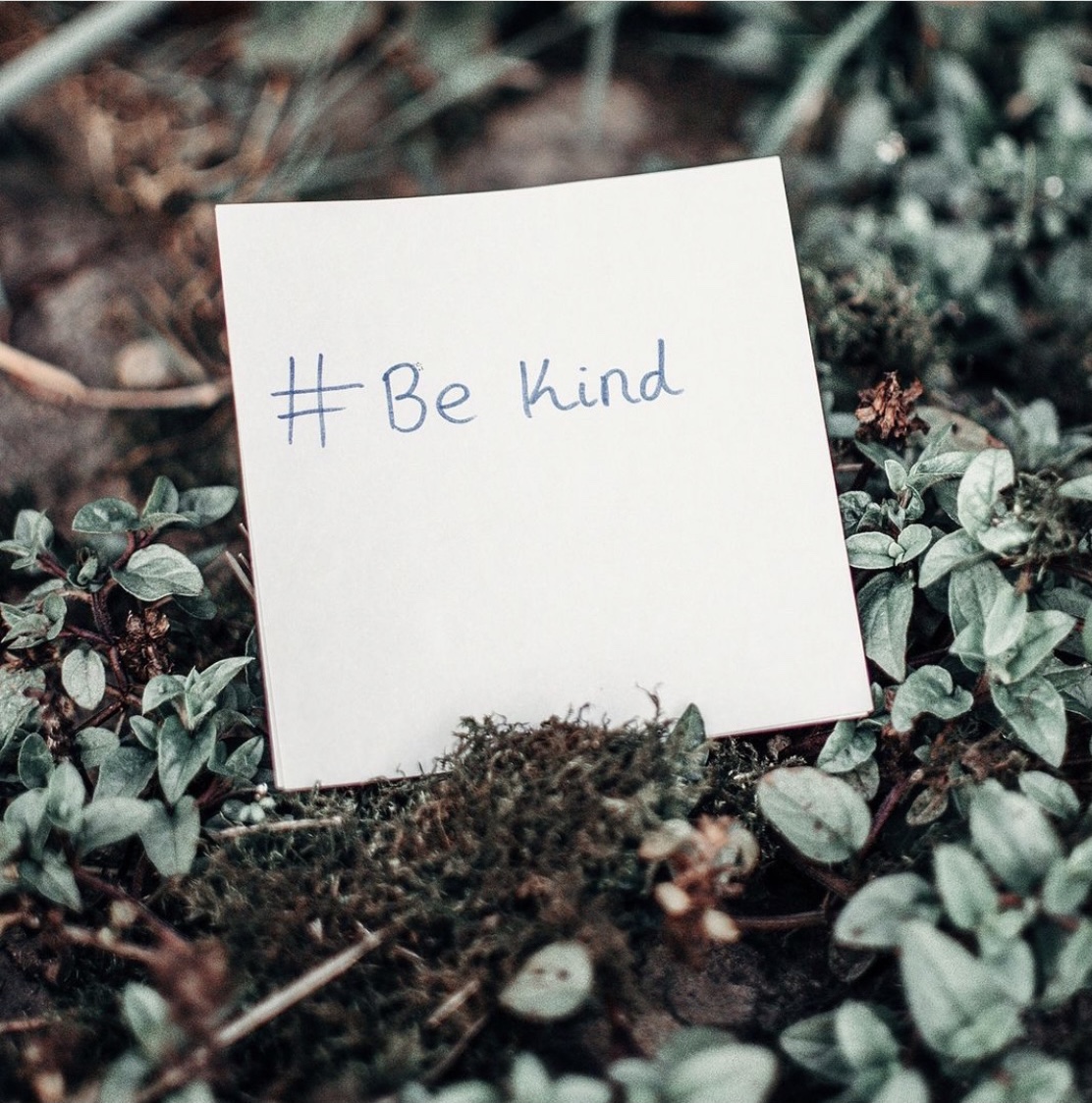 Keep kindness!