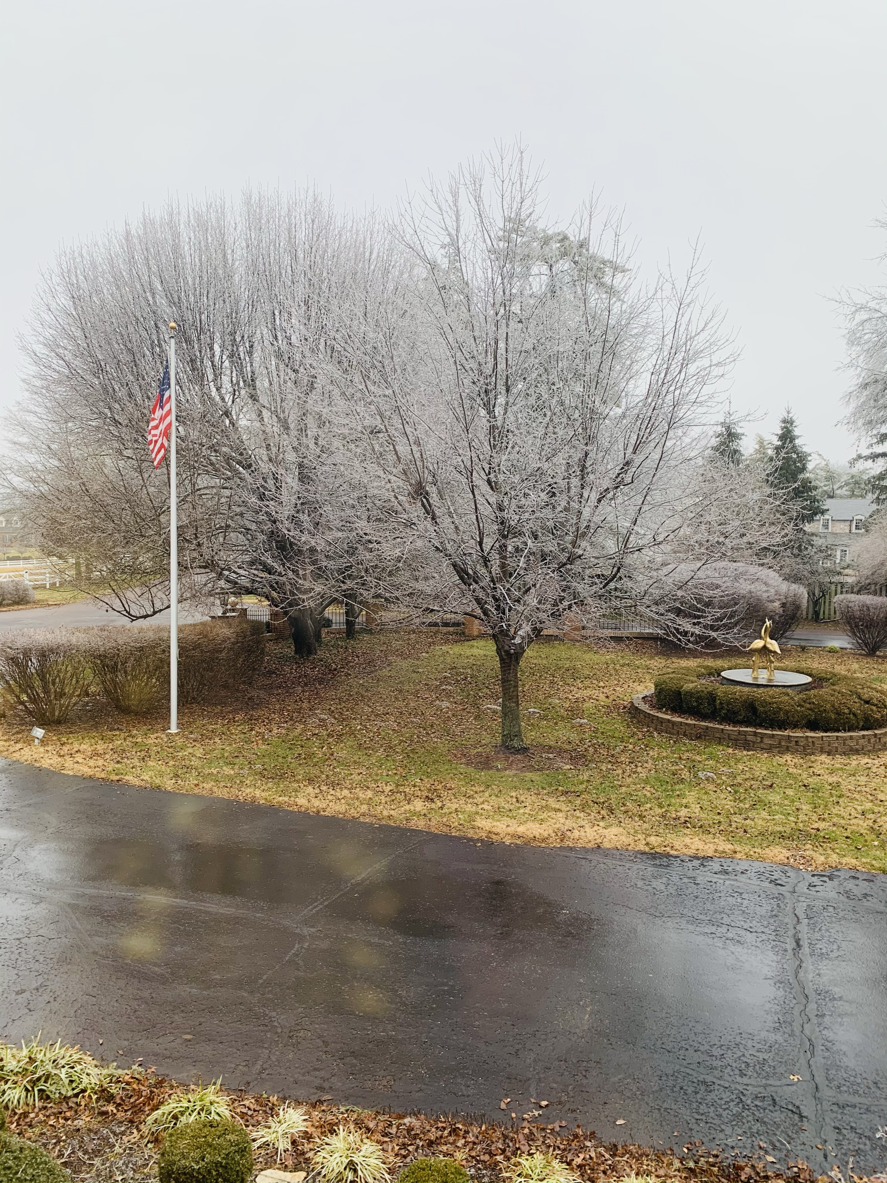 Keep being icy trees!