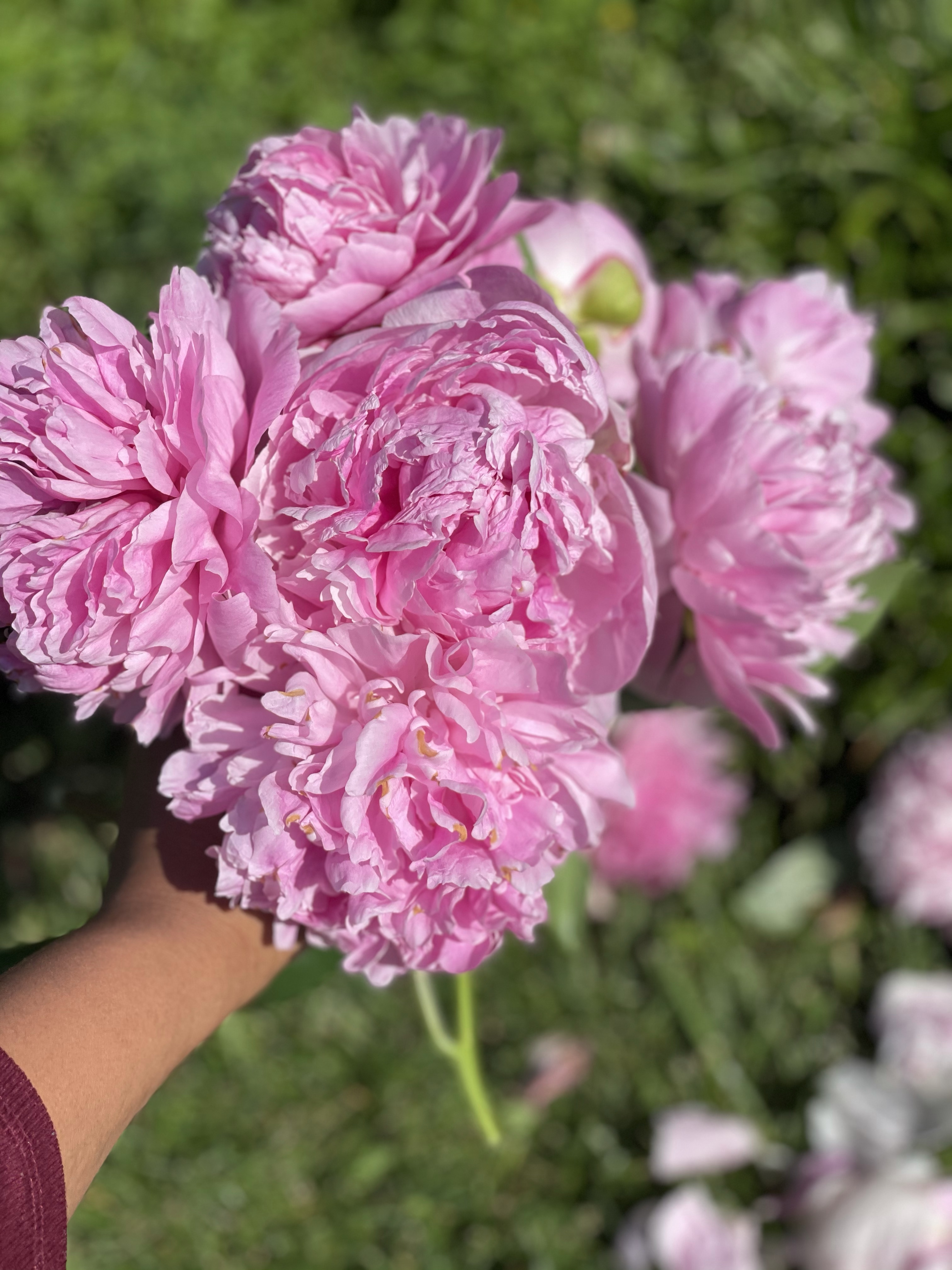 Keep Springtime gardening