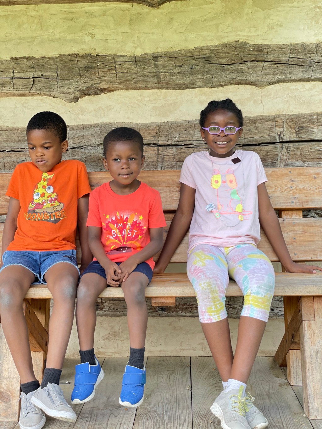 Keep Drace Park and their historic log cabins in&nbsp;mind!