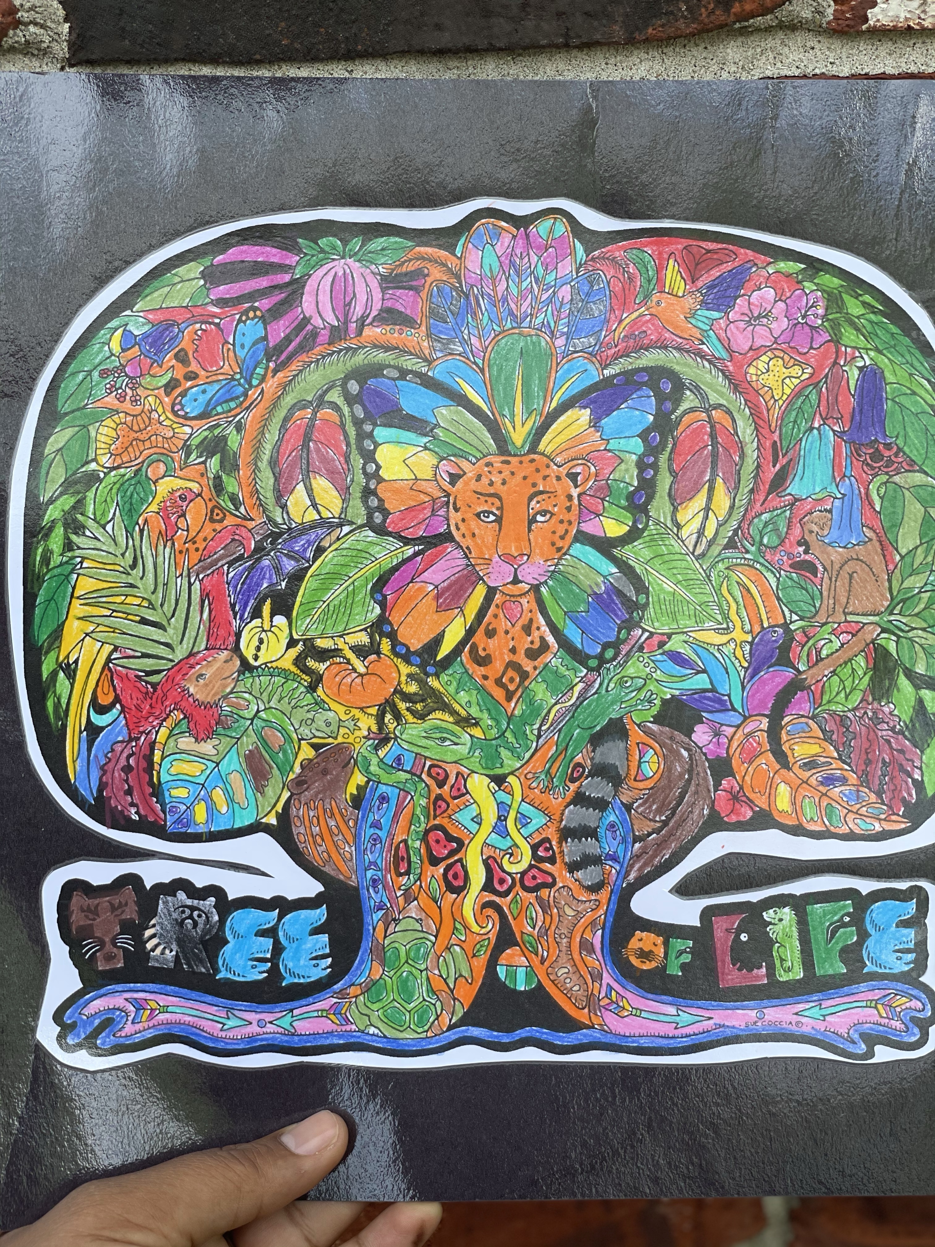 Keep our connections like the Tree of Life!