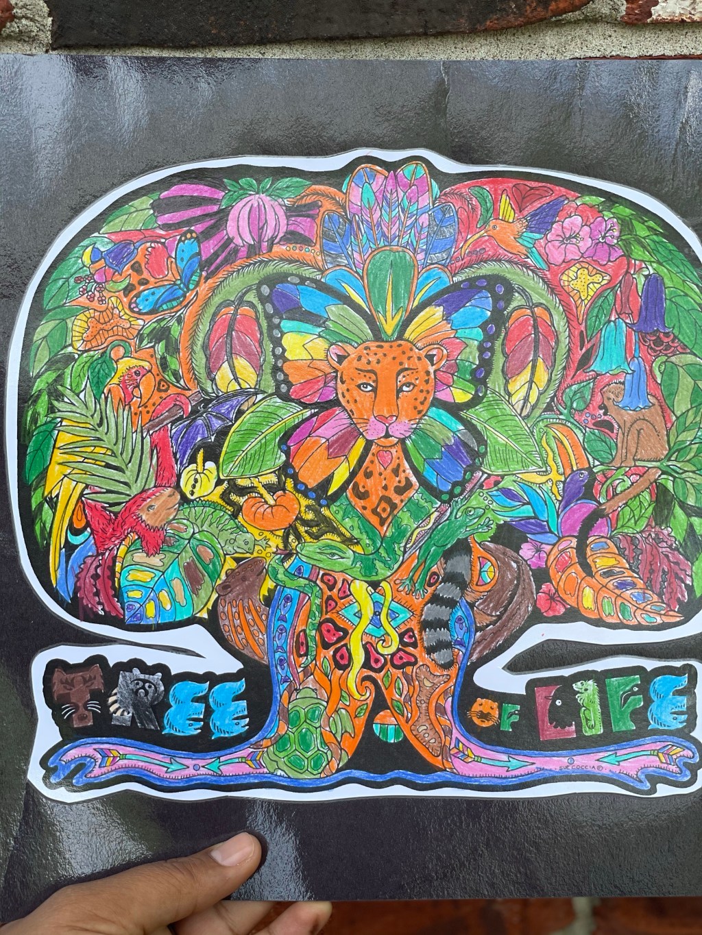 Keep our connections like the Tree of&nbsp;Life!