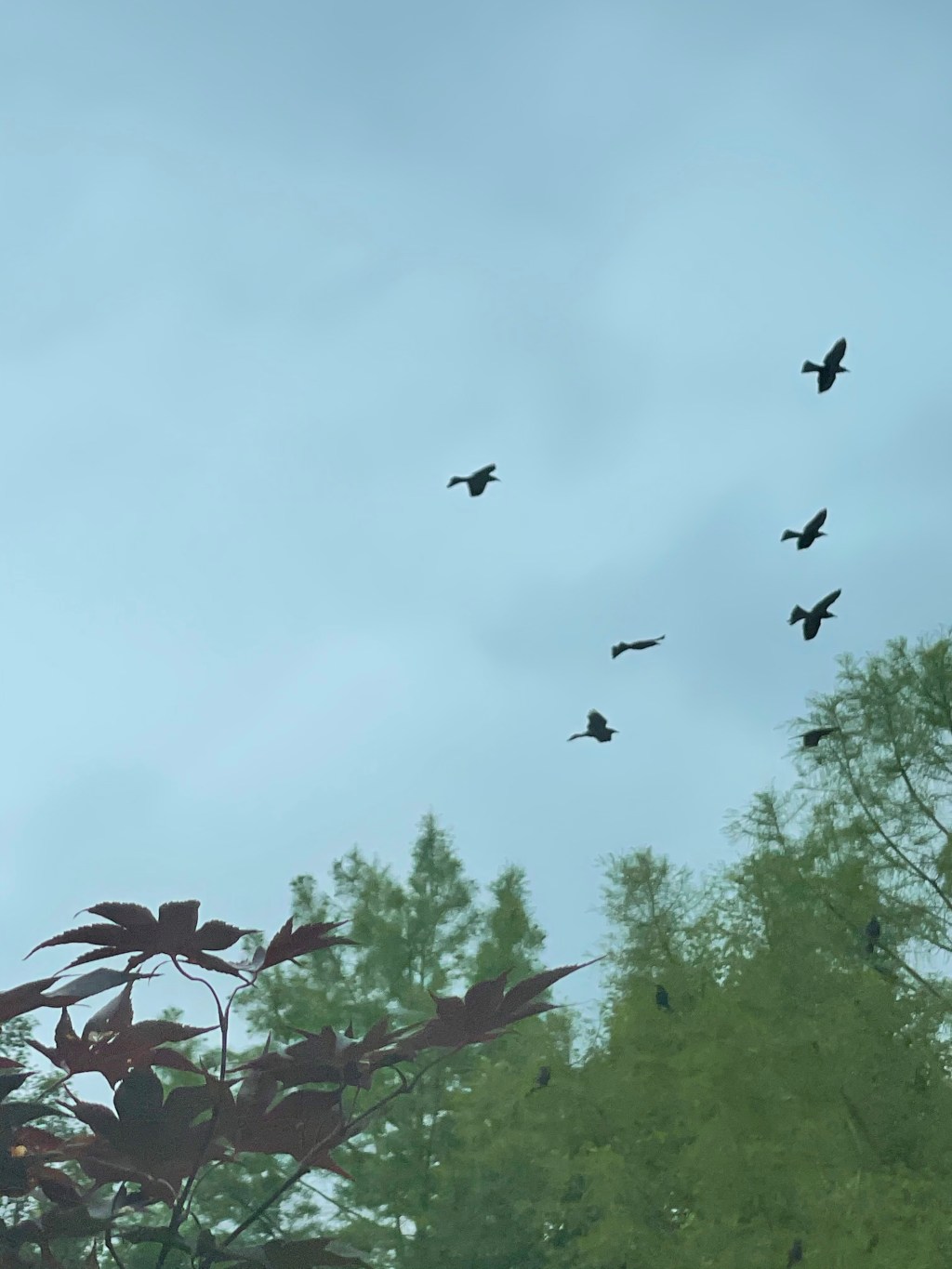 Keep being together like birds in the&nbsp;sky!