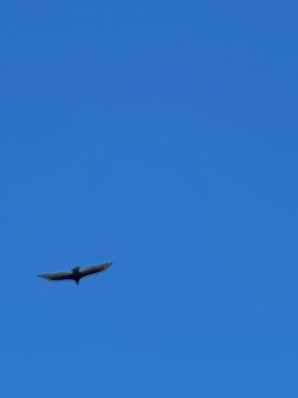 Keep living till we meet&nbsp;again!