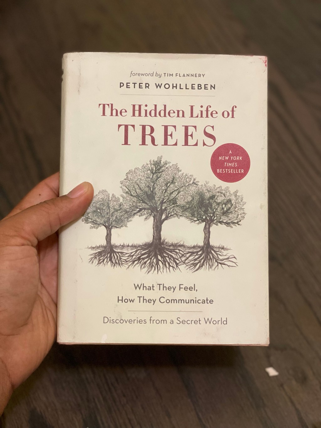 Keep swinging back and forth like trees on windy&nbsp;days!