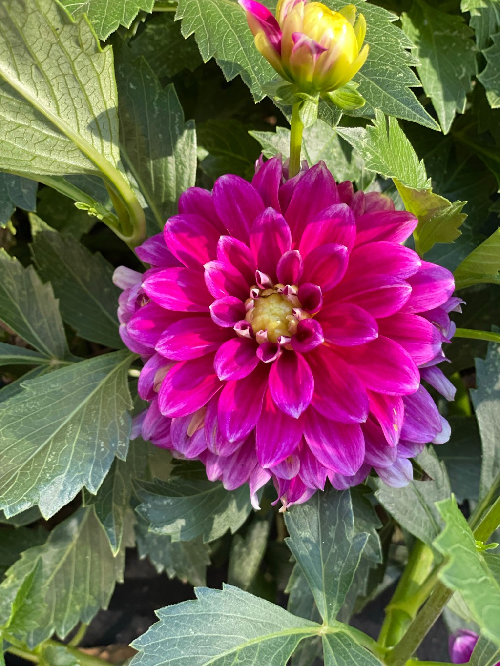 Keep grace for motherhood!