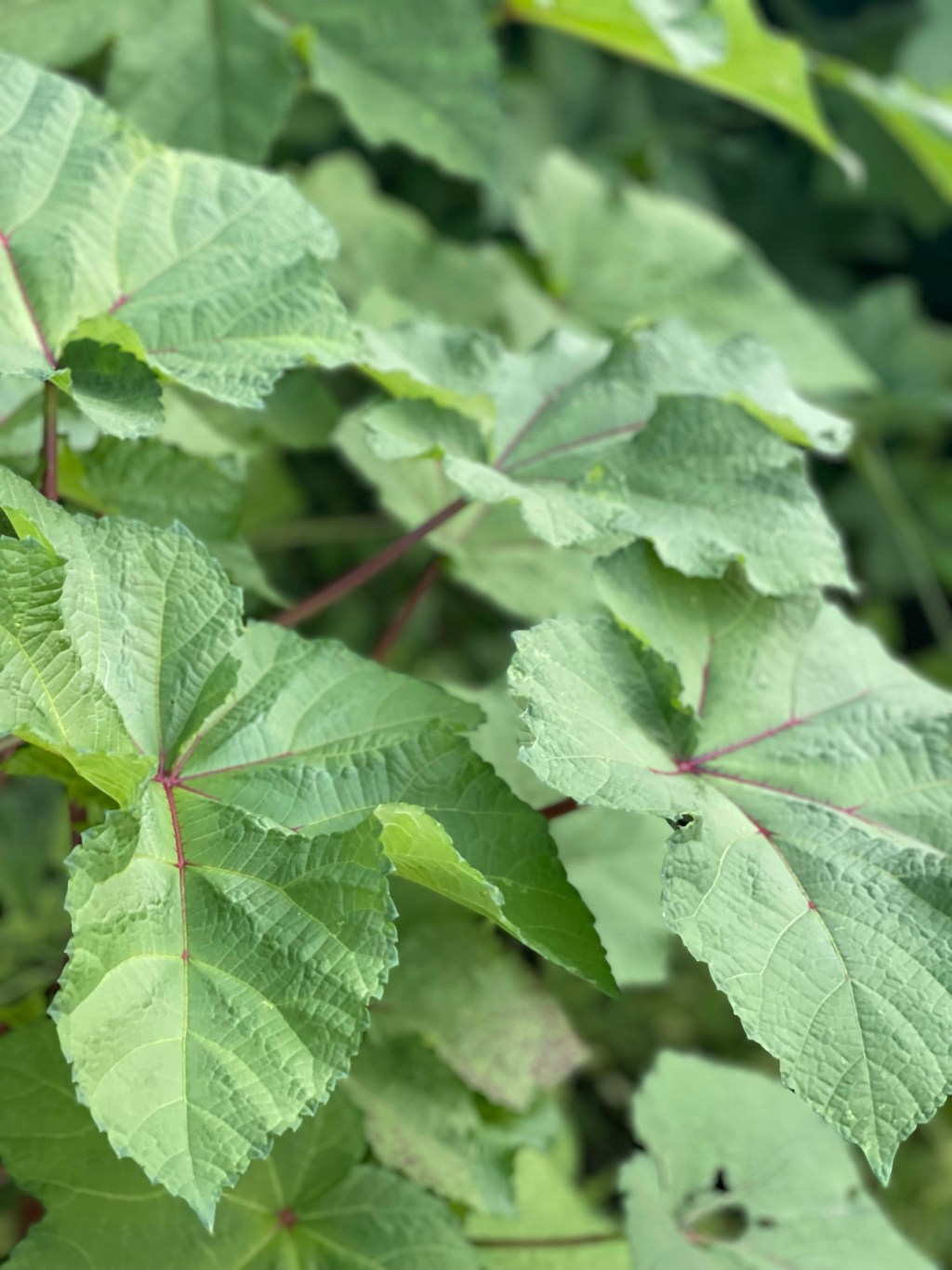 Keep blazing your light in words!