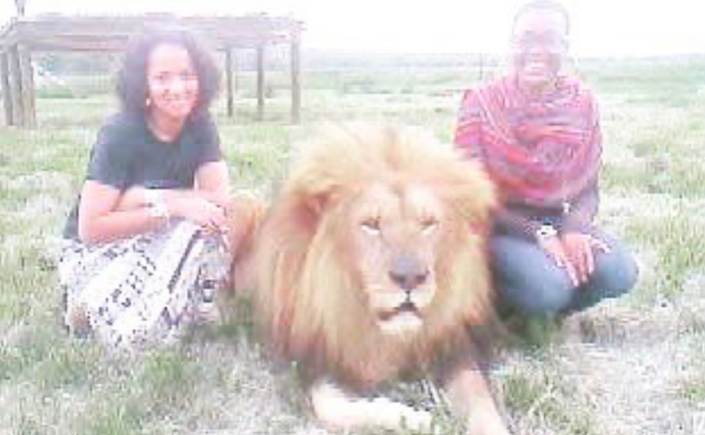 Keep going close to&nbsp;lions!