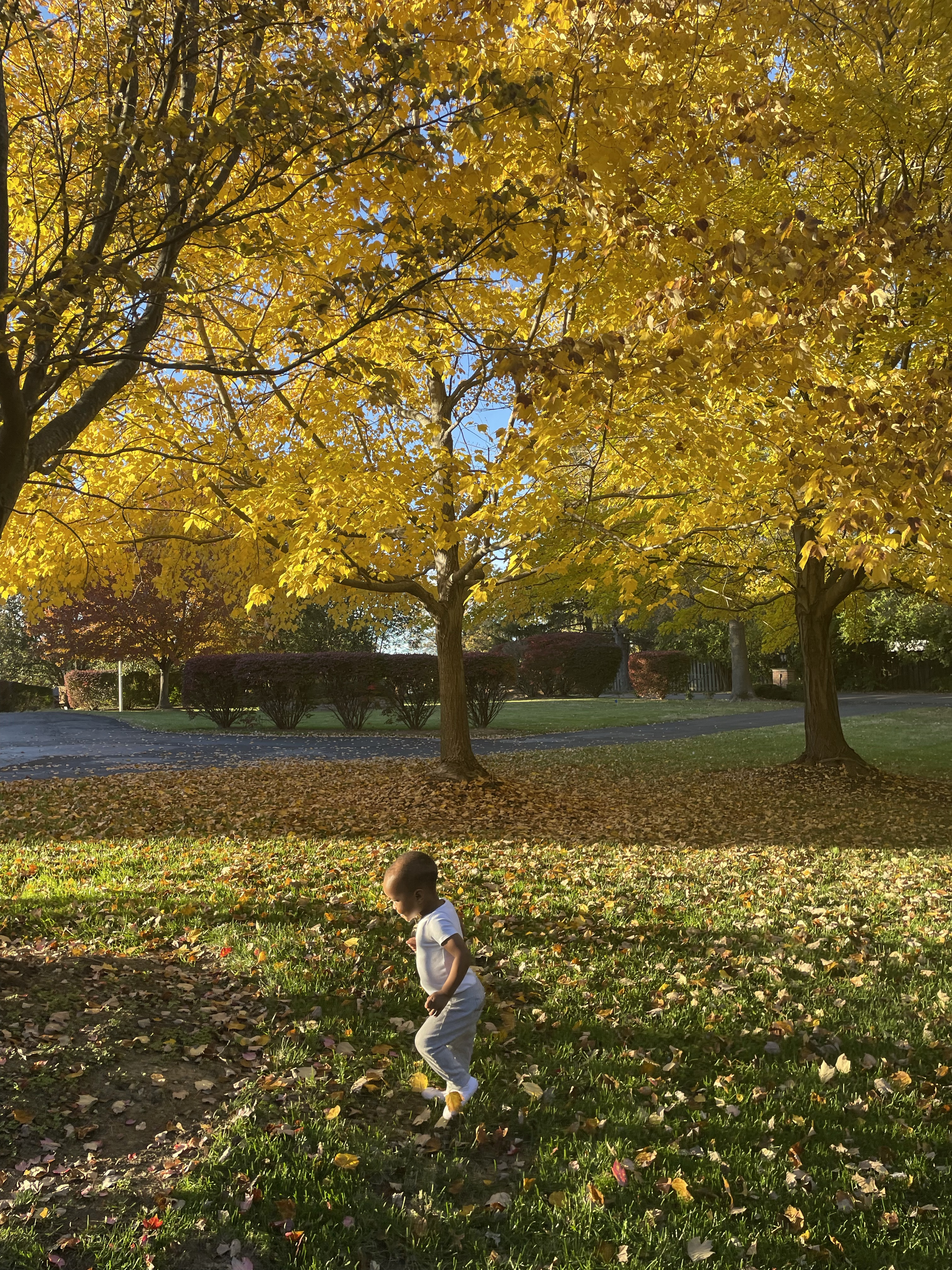 Keep the light of fall season!