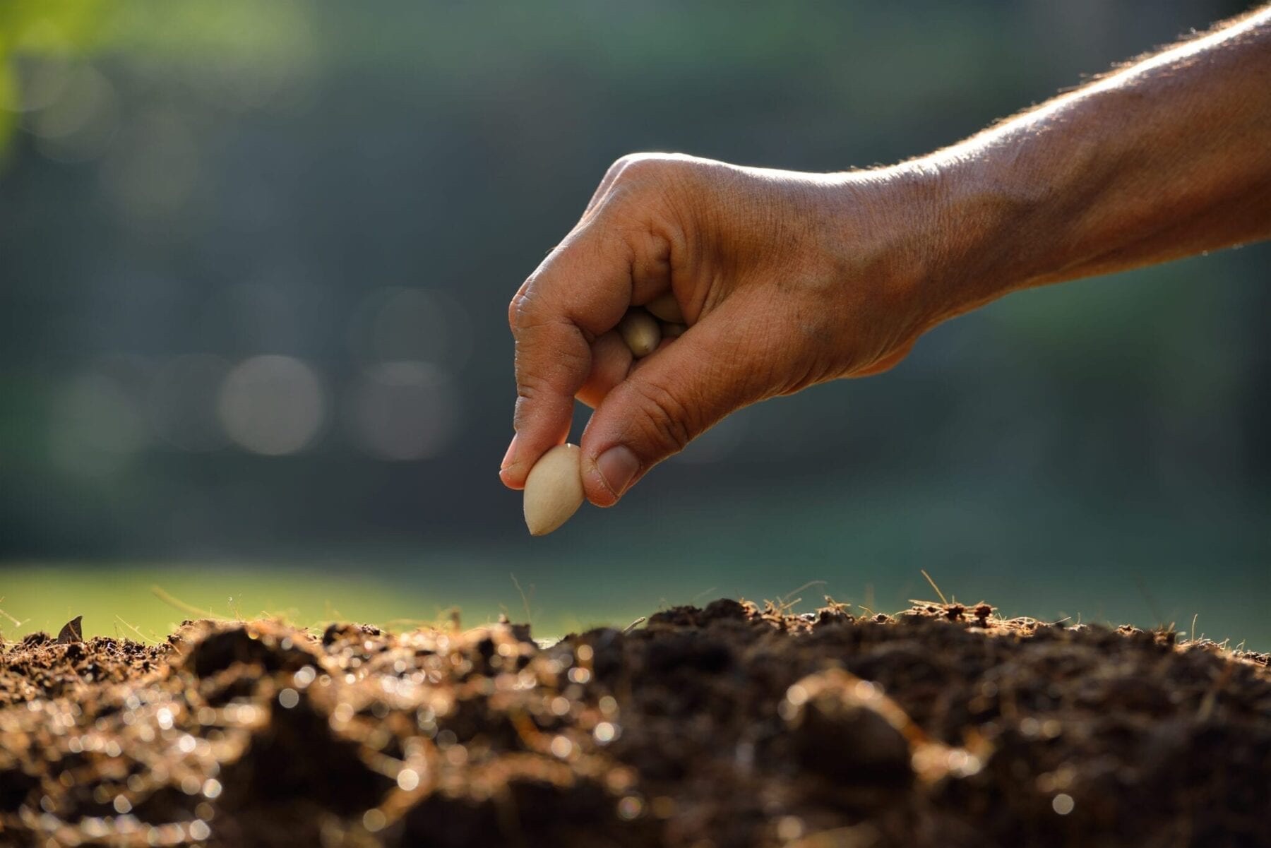 Keep planting seeds for people’s health!