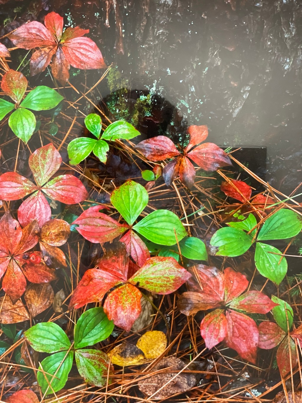 Keep the blessings of a new&nbsp;year!