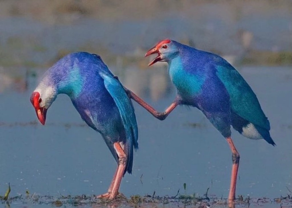 Keep escaping with&nbsp;words!