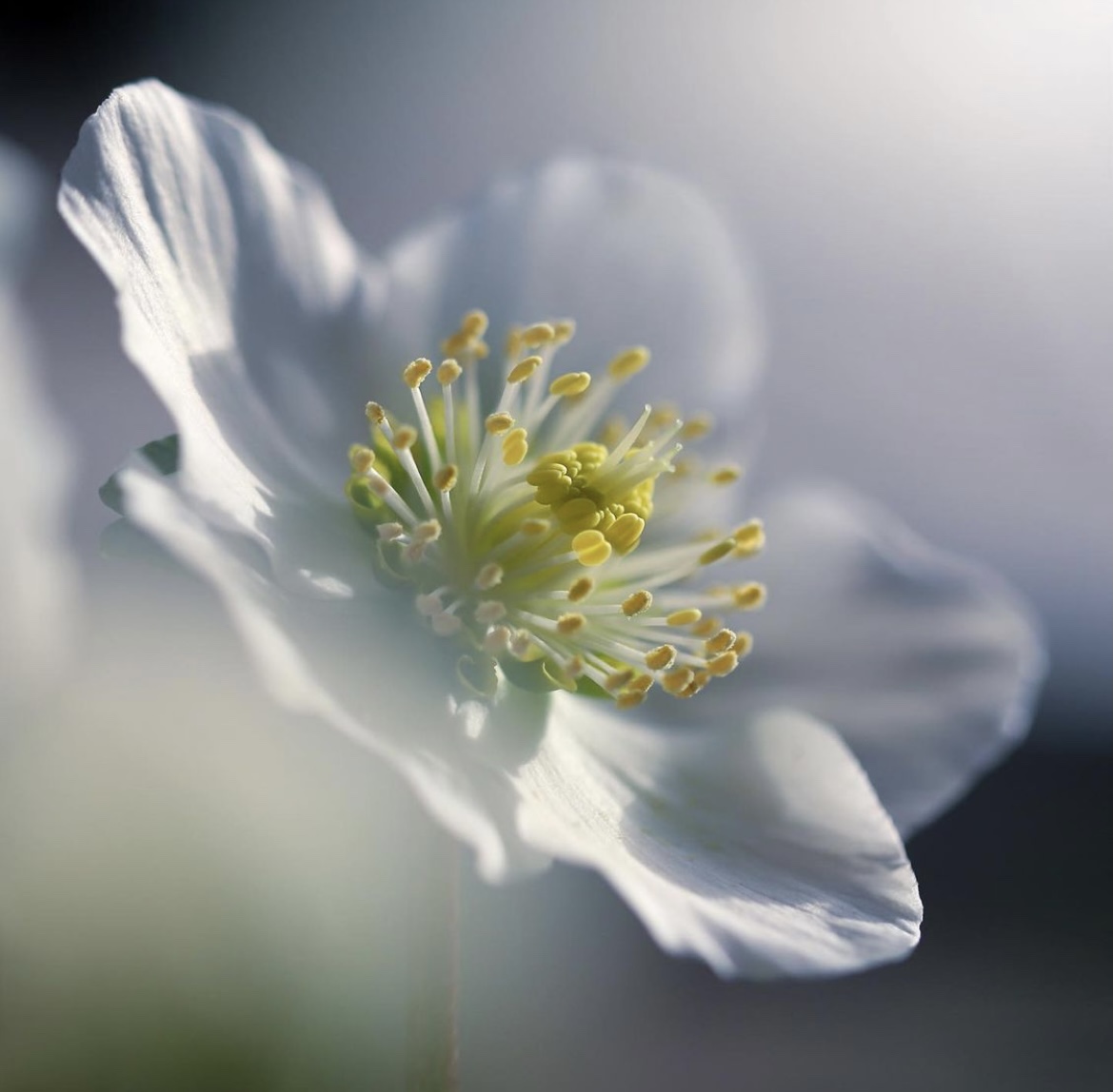 Keep blooming!