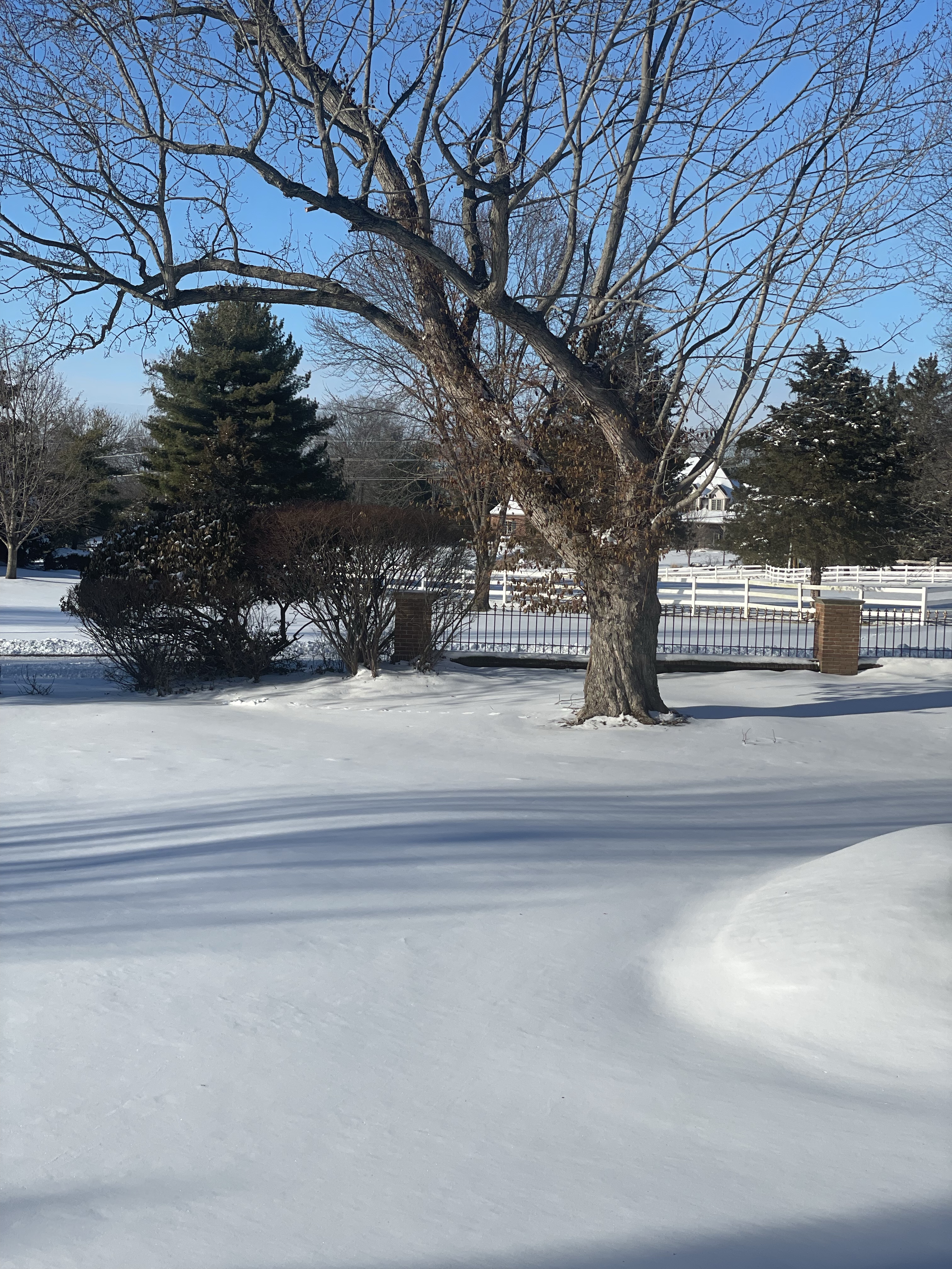 Keep the lessons of the snow!