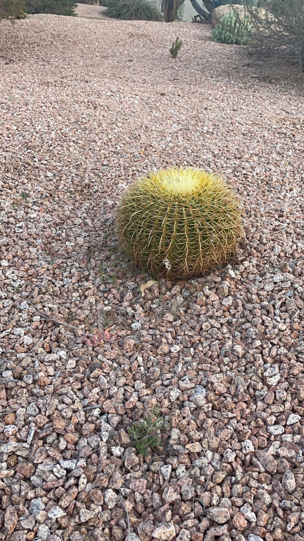 Keep knowing that we are all&nbsp;storytellers!