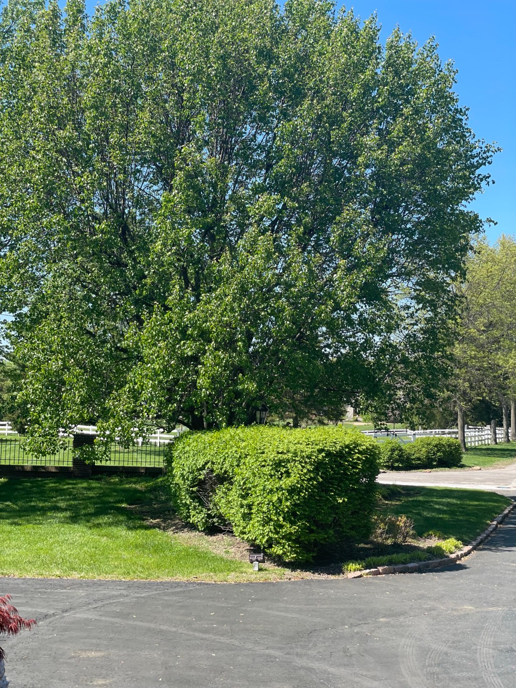 Keep May and&nbsp;Mary!