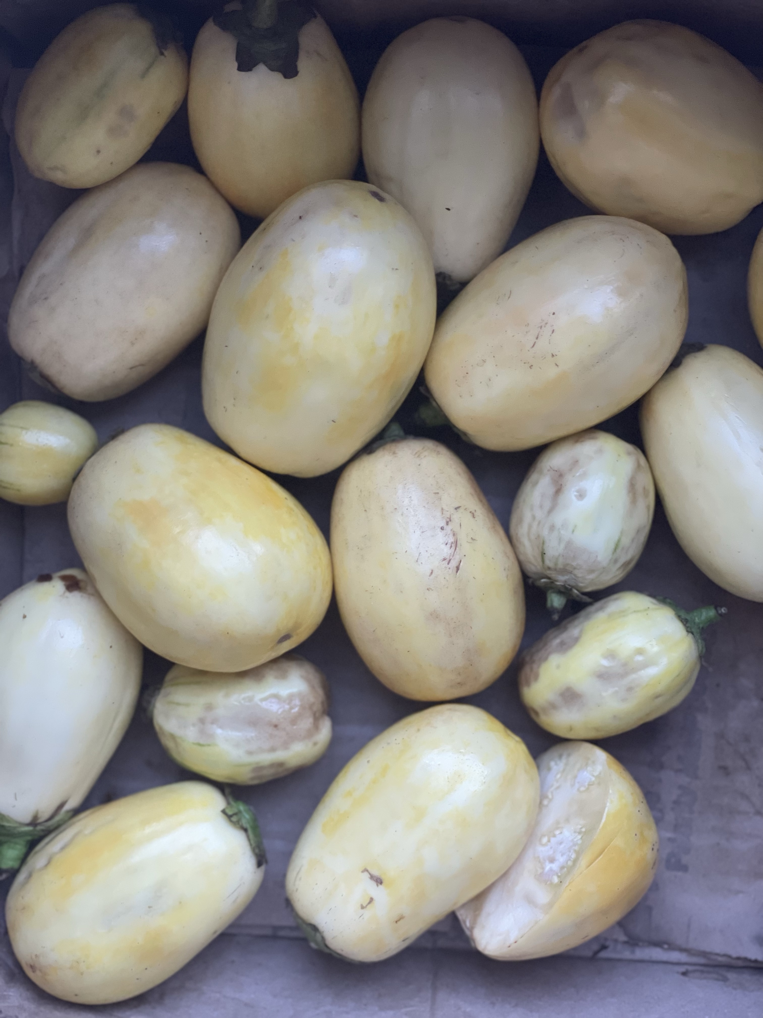 Keep joy, like garden eggs!