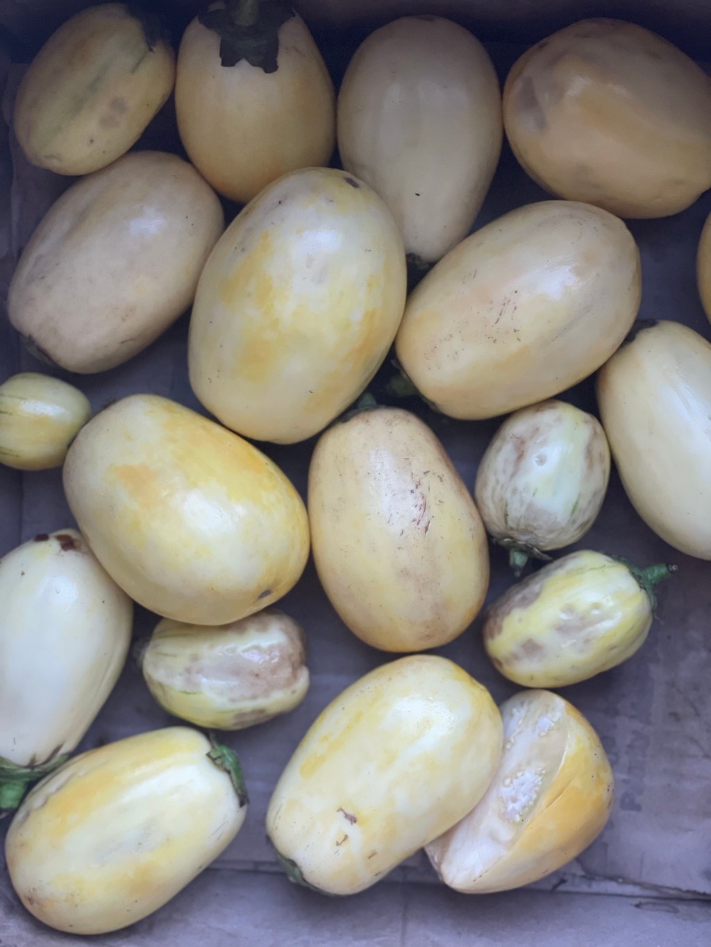 Keep joy, like garden&nbsp;eggs!