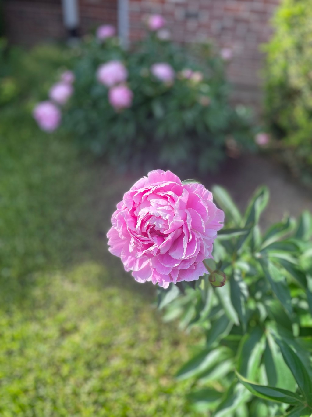 Keep ignoring their&nbsp;ways!