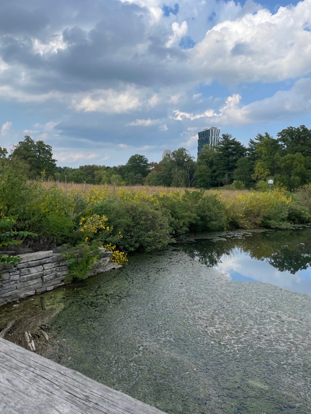 Keep these wild blessing!