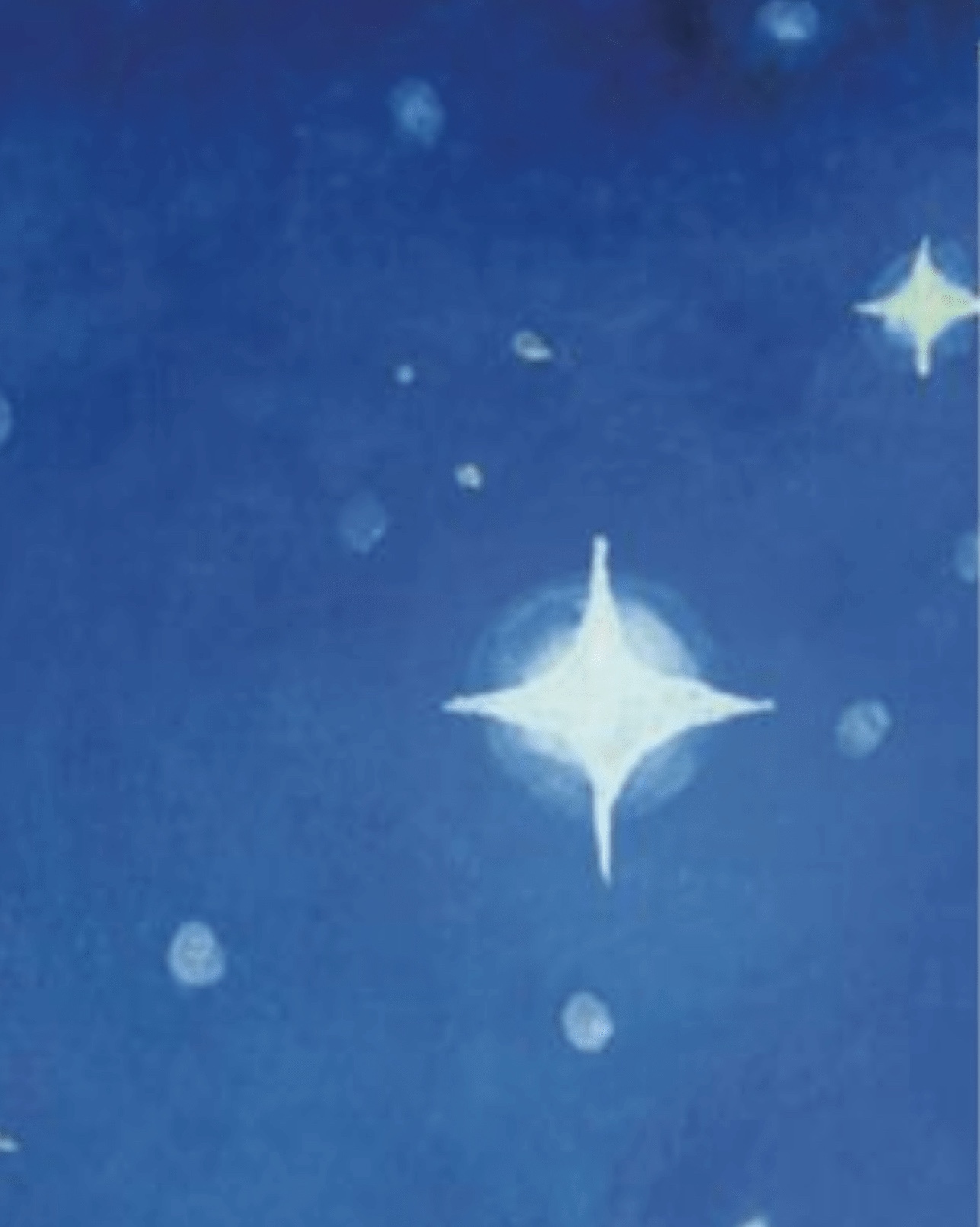 Keep how to be a star!