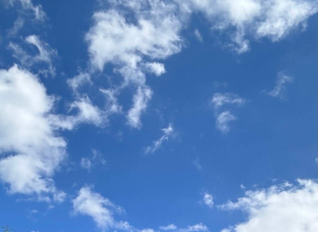 Keep who we belong too…