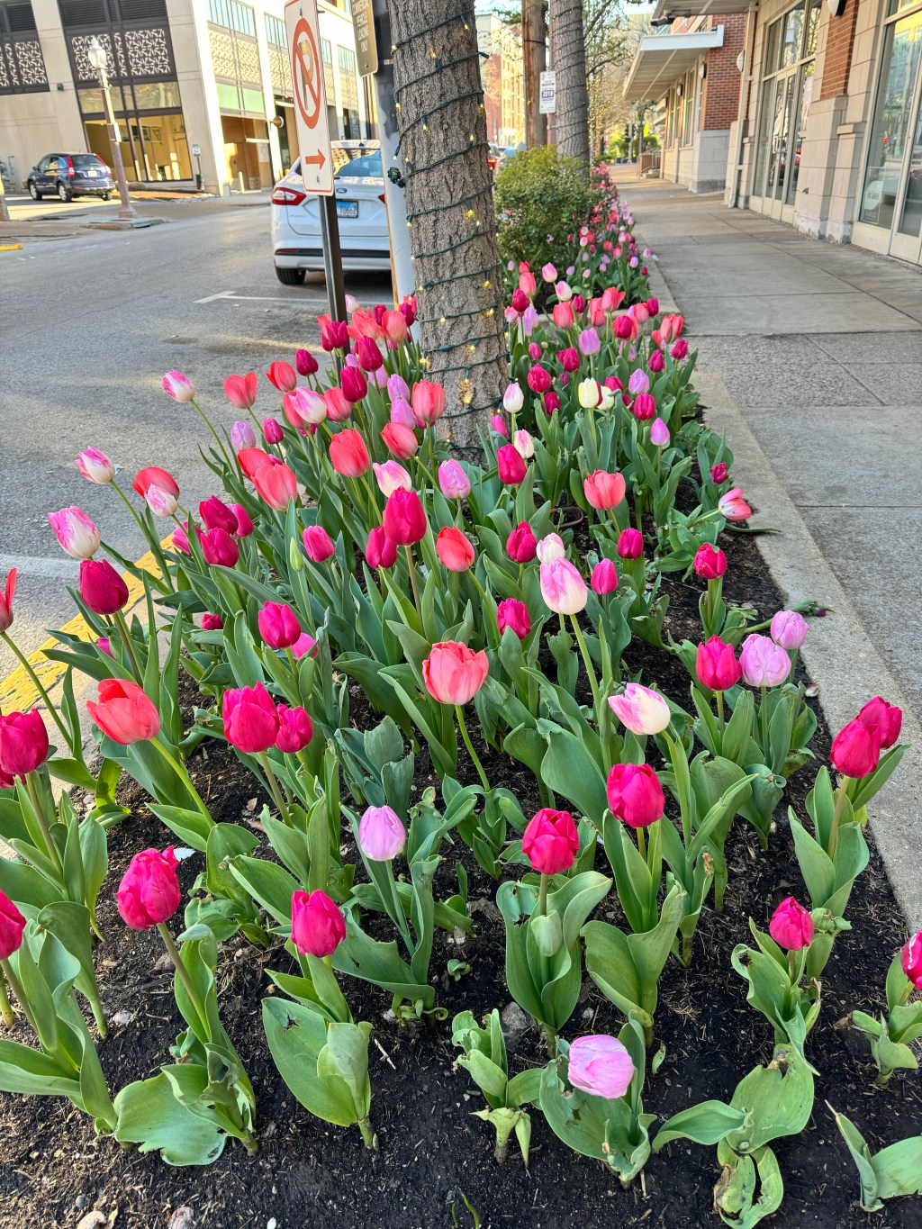 Keep this stream of consciousness named&nbsp;Isioma!