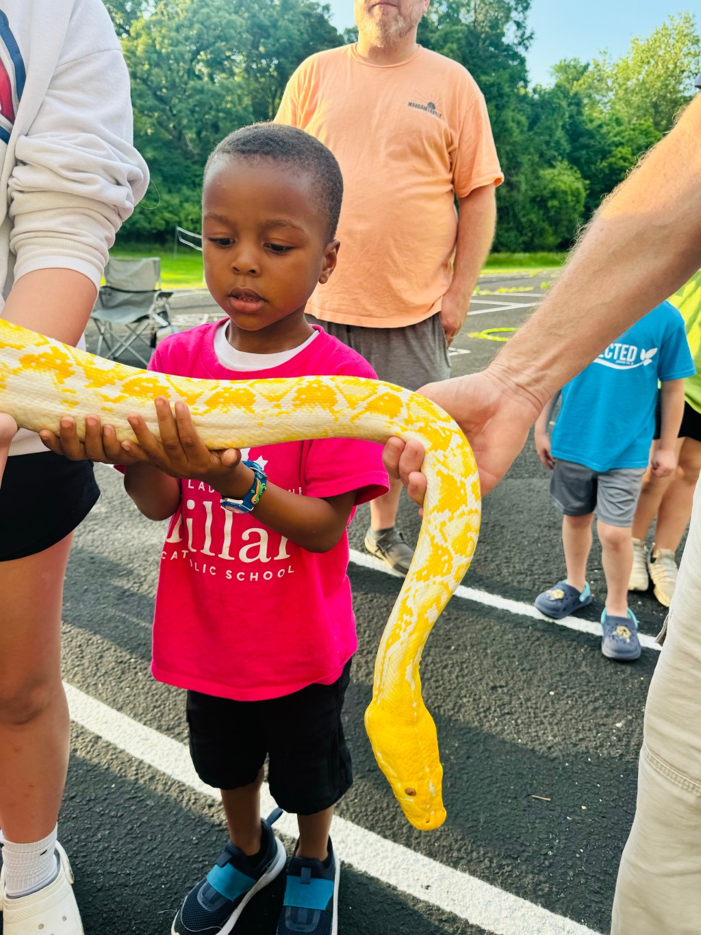 Keep seeing the world as children and cicadas do!