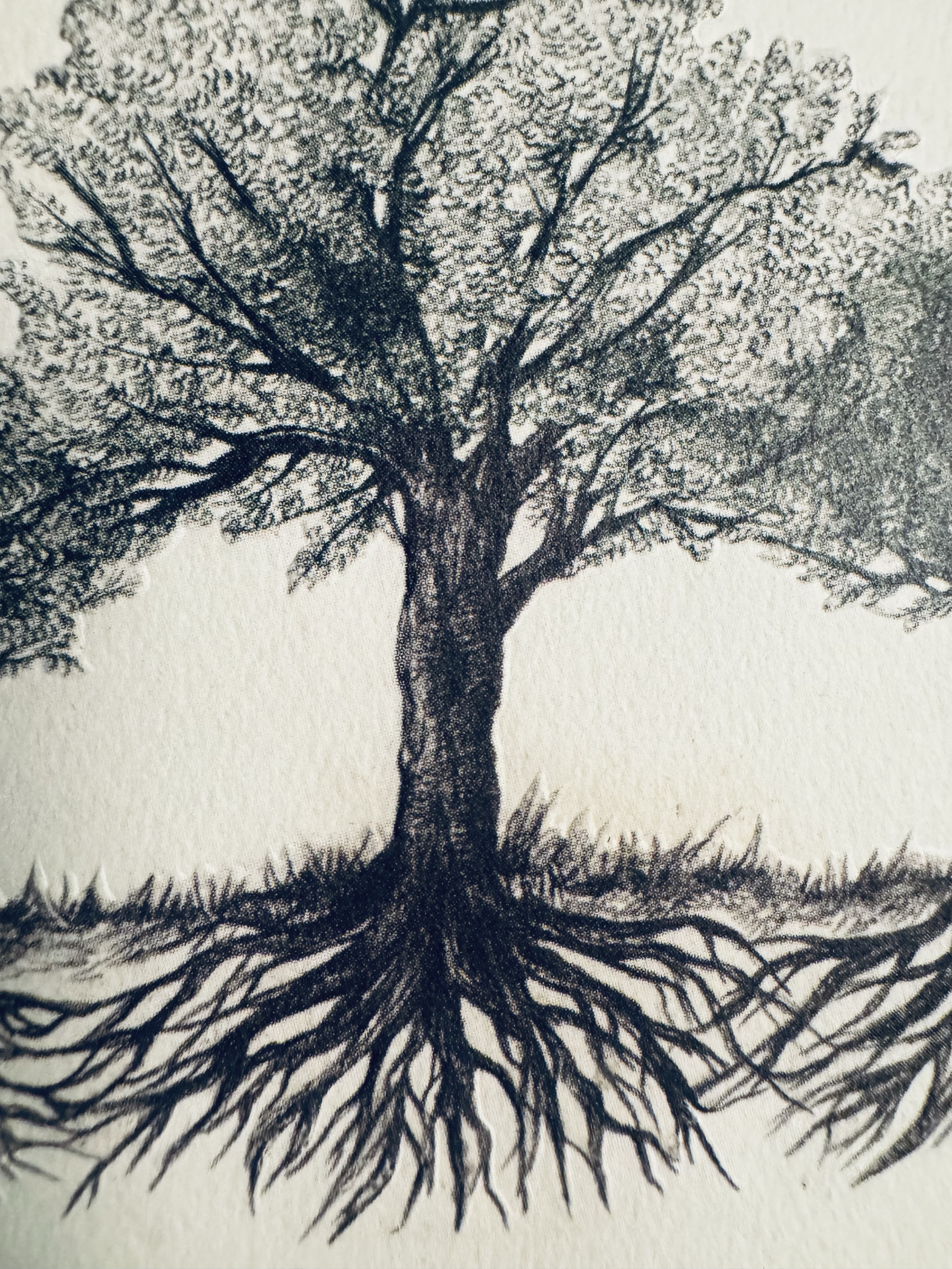 Keep your growth rings!