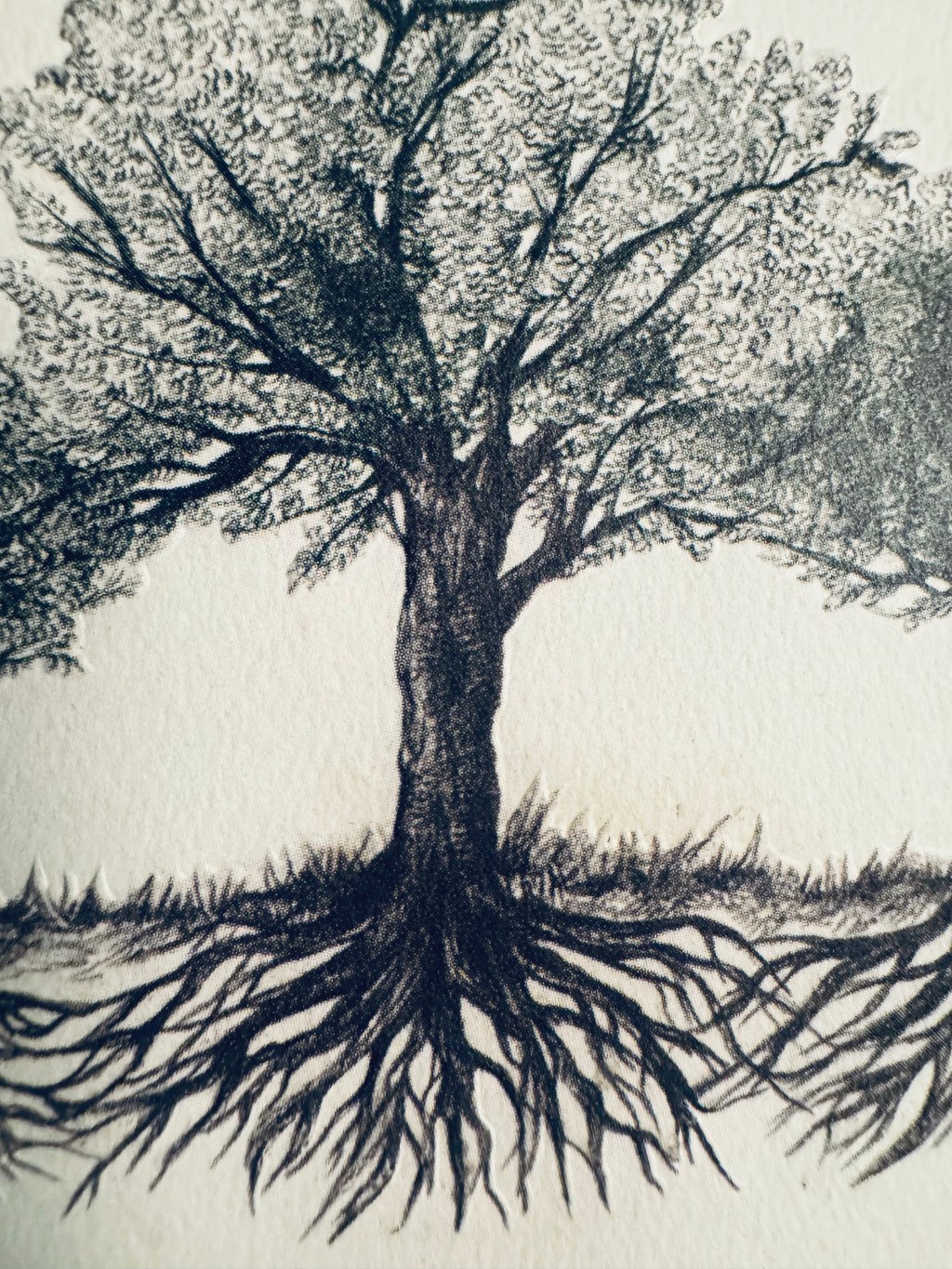 Keep your growth&nbsp;rings!