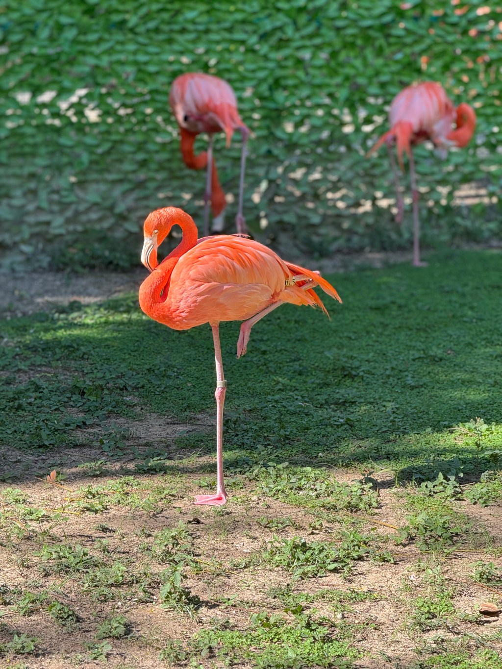 Keep striving for the&nbsp;stars!