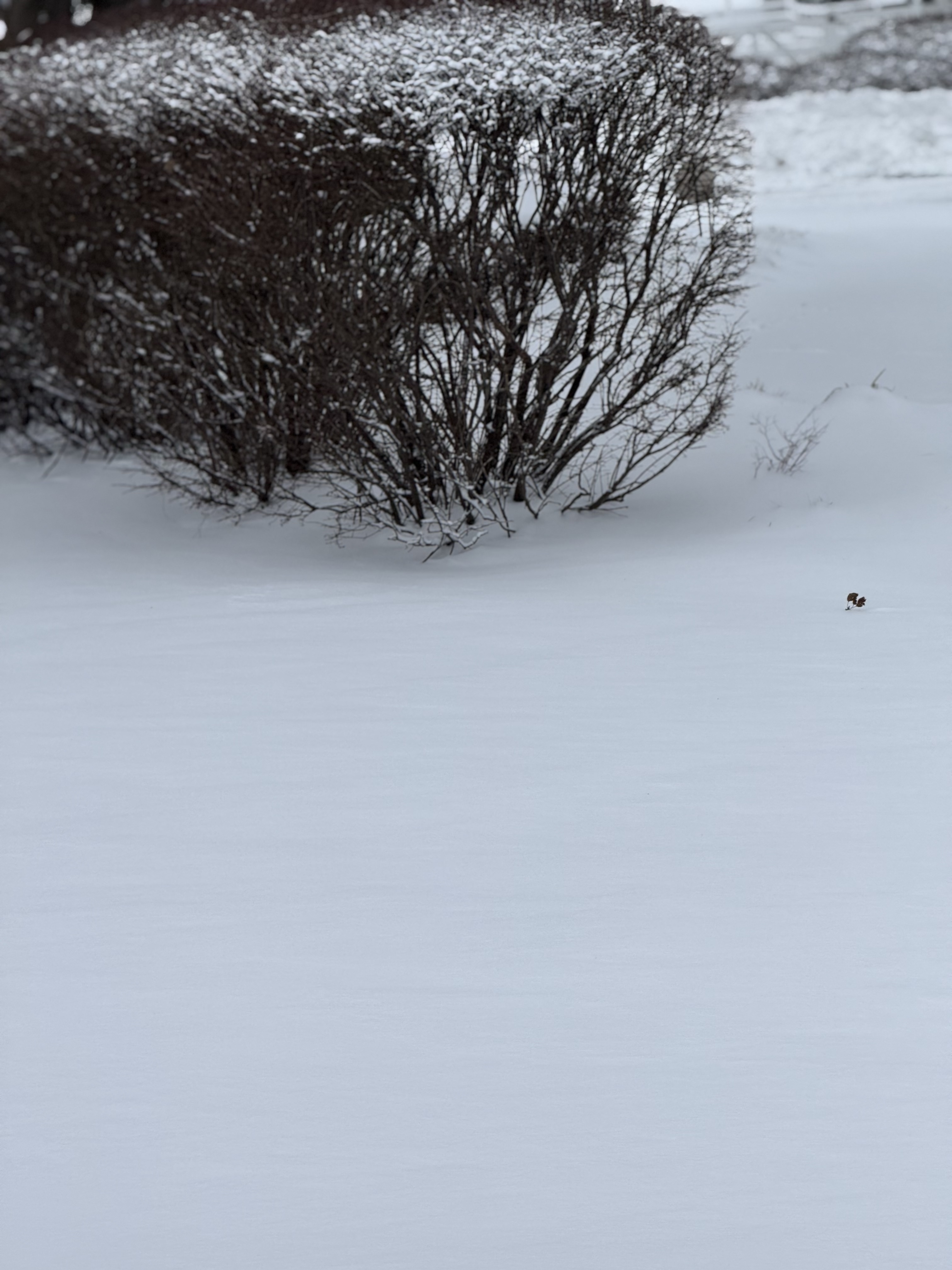 Keep the day after snowstorms!
