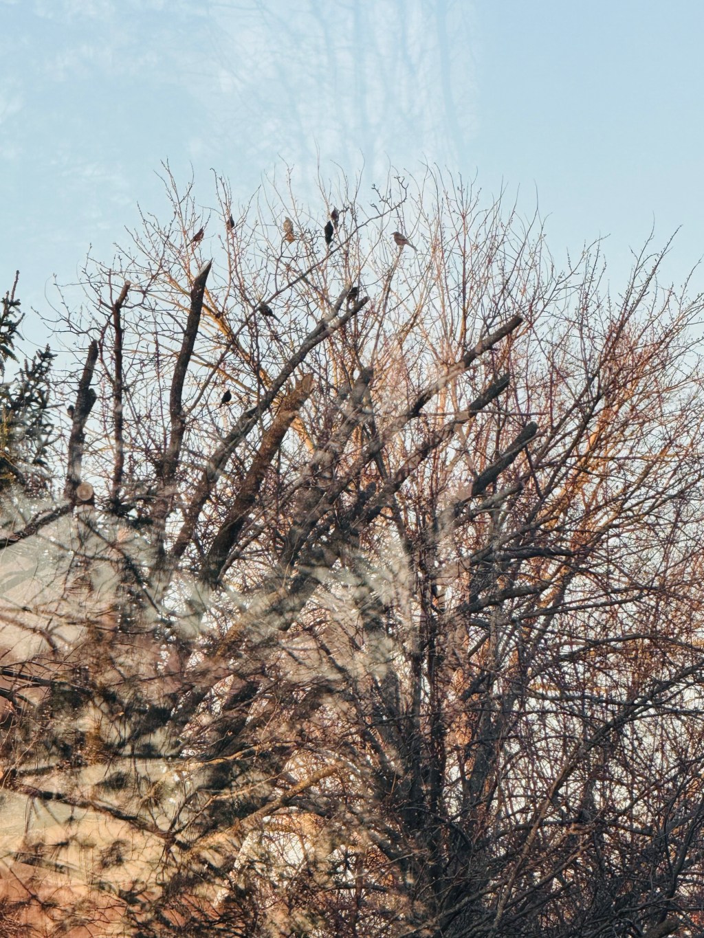 Keep dreaming together!