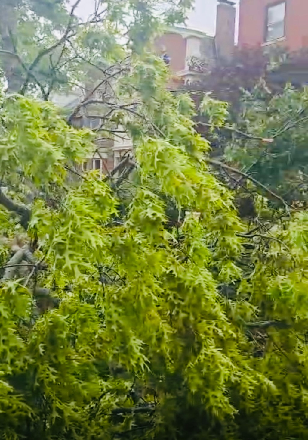 Keep the shining sun after a&nbsp;tornado!