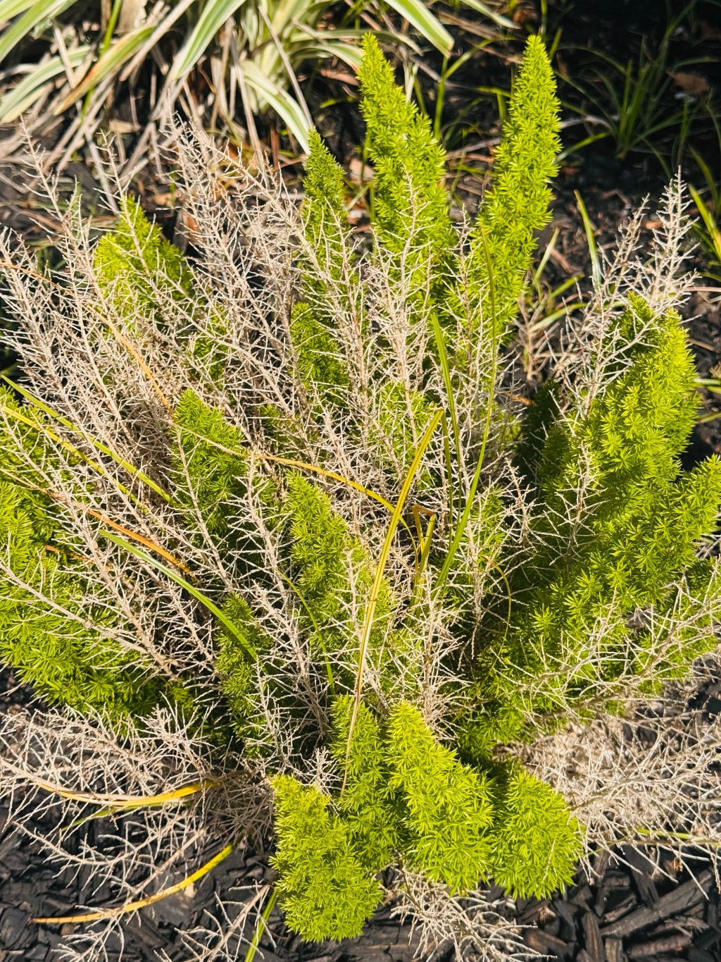 Keep this necessary&nbsp;suffering!