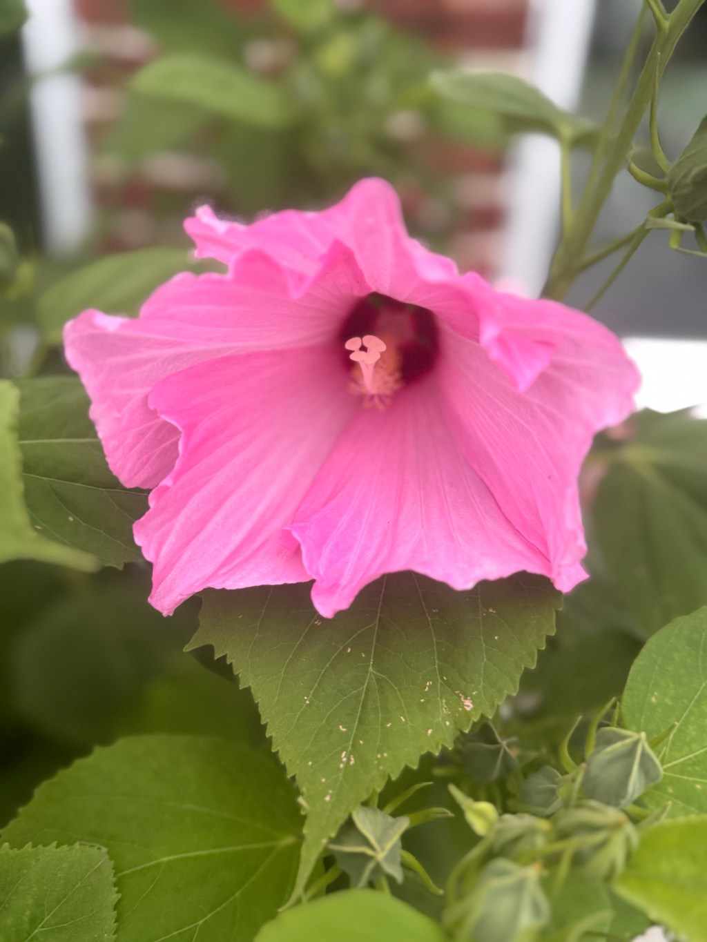 Keep pain through storms!