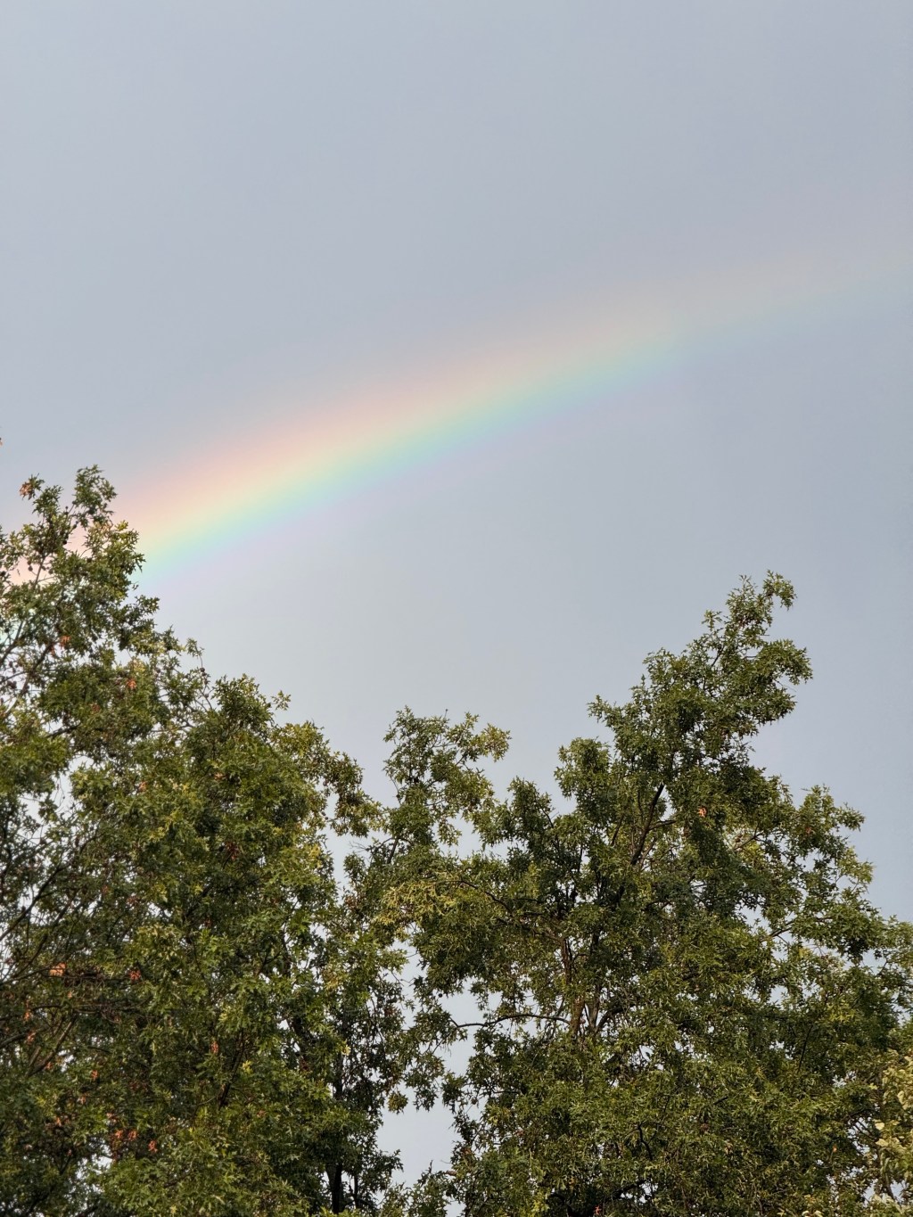 Keep this state of&nbsp;emptiness!