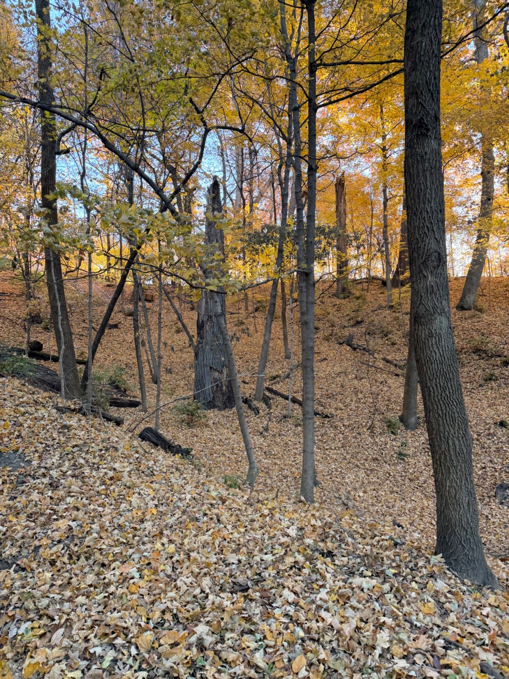 Keep this good life!