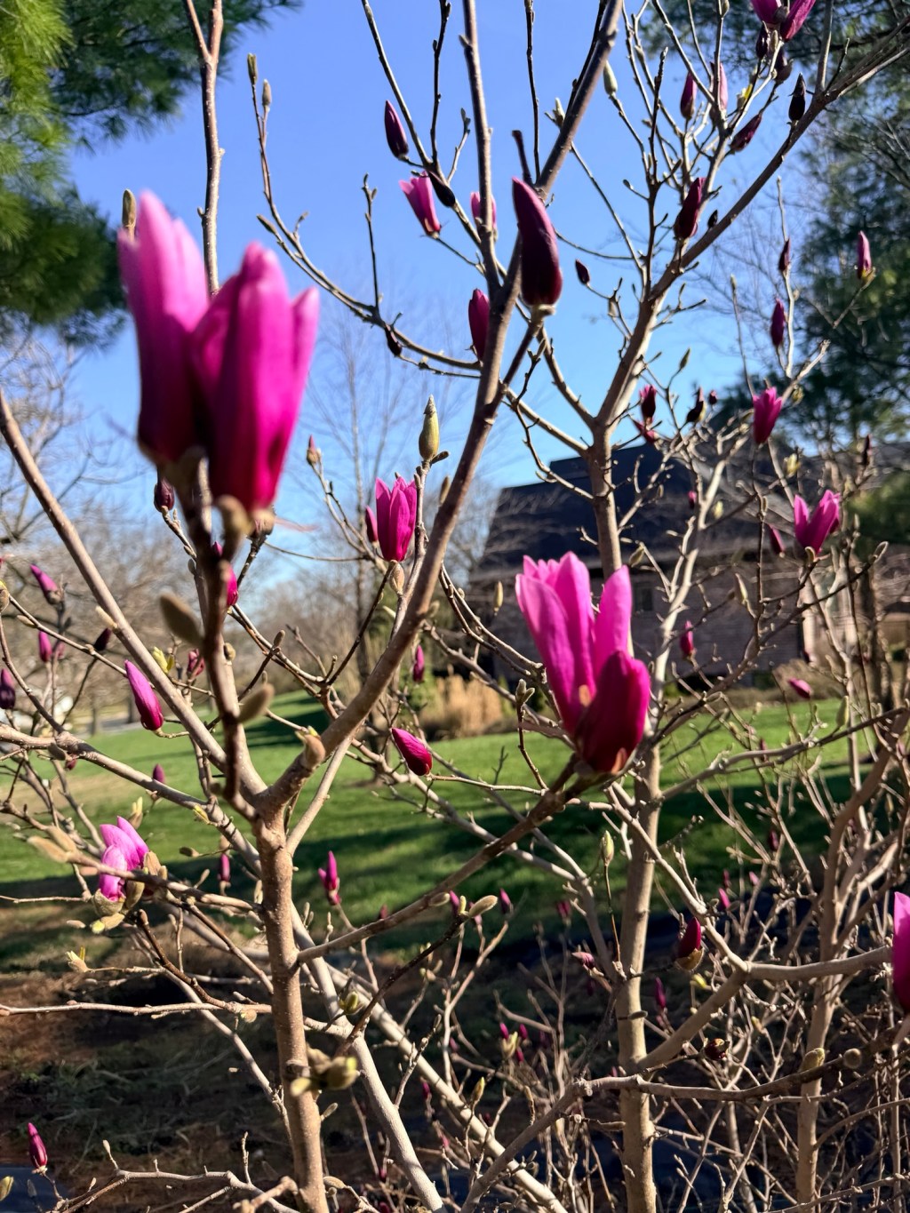 Keep starting with your story!